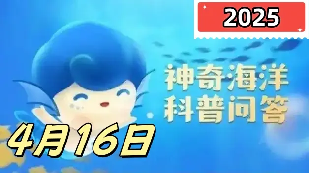 海洋中的海鲈鱼属于哪种鱼-神奇海洋4月16日答案最新2025